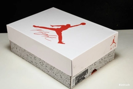 CT8527-120 4 JORDAN - SB RETRO 1001